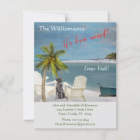 We hebben de 'Dog Ocean Beach' budgetverplaatsing