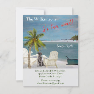 We hebben de 'Dog Ocean Beach' budgetverplaatsing  Aankondiging