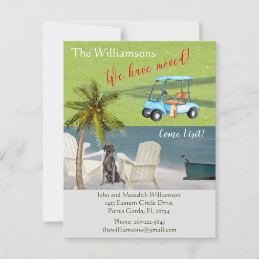 We hebben de 'Dog Ocean Beach' budgetverplaatsing  Aankondiging (Voorkant)