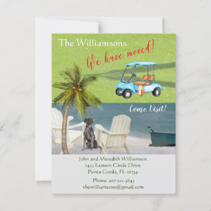 We hebben de 'Dog Ocean Beach' budgetverplaatsing  Aankondiging