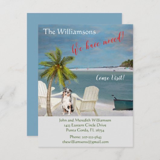 We hebben de 'Dog Ocean Beach' budgetverplaatsing Aankondiging (Voorkant / Achterkant)