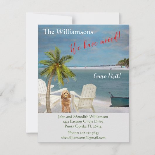 We hebben de 'Dog Ocean Beach' budgetverplaatsing Aankondiging (Voorkant)