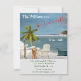 We hebben de 'Dog Ocean Beach' budgetverplaatsing  Aankondiging