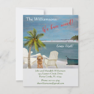 We hebben de 'Dog Ocean Beach' budgetverplaatsing  Aankondiging