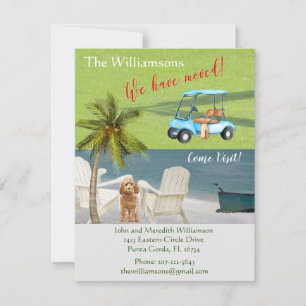 We hebben de 'Dog Ocean Beach' budgetverplaatsing  Aankondiging