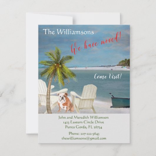 We hebben de 'Dog Ocean Beach' budgetverplaatsing  Aankondiging (Voorkant)