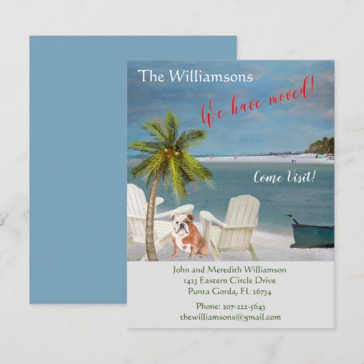 We hebben de 'Dog Ocean Beach' budgetverplaatsing Aankondiging (Voorkant / Achterkant)