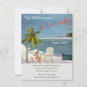 We hebben de 'Dog Ocean Beach' budgetverplaatsing  Aankondiging