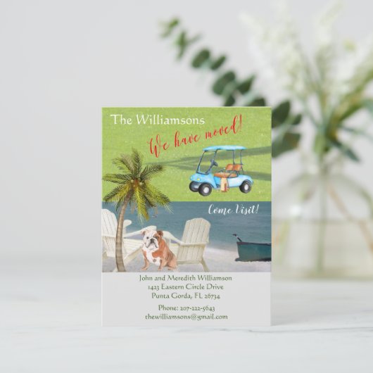 We hebben de Engelse Bulldog Ocean Beach Move verp Aankondiging (Staand voorkant)