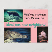 We hebben de foto van nieuwe groepen verplaatst briefkaart (Voorkant)