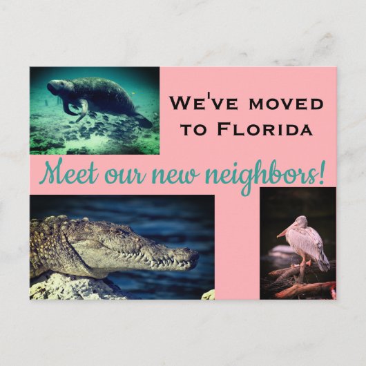 We hebben de foto van nieuwe groepen verplaatst briefkaart (Voorkant)