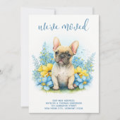 We hebben de Franse Bulldog Puppy Dog verplaatst Aankondiging (Voorkant)