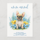 We hebben de Franse Bulldog Puppy Dog verplaatst Aankondigingskaart (Voorkant)