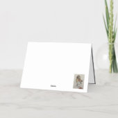 "we hebben de Kaart eindelijk ingekrompen" (Achterkant)