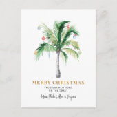 We hebben de kerstboompalm van de kerstboompalmen  feestdagenkaart (Voorkant)