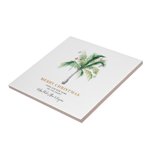 We hebben de kerstboompalm van de kerstboompalmen  tegeltje (Zijkant)