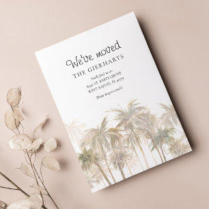 We hebben de kustpalmbomen verplaatst.