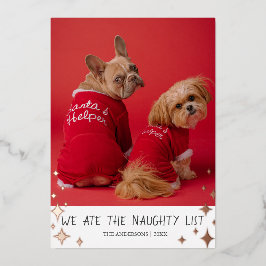 We hebben de Naughty List Pet Folie Holiday Card Feestdagenkaart