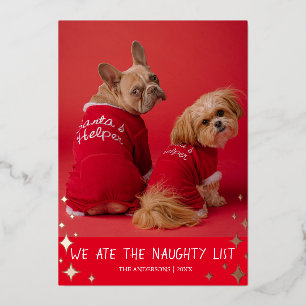 We hebben de Naughty List Pet Folie Holiday Card Feestdagenkaart