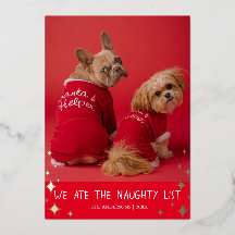 We hebben de Naughty List Pet Folie Holiday Card