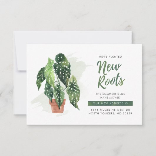 We hebben de nieuwe aankondiging van Roots Boho ve (Voorkant)