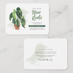 We hebben de nieuwe aankondiging van Roots Boho ve