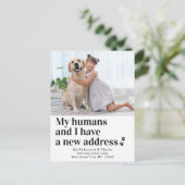 We hebben de nieuwe foto van het Adres Dog Pet Bew Aankondigingskaart (Staand voorkant)