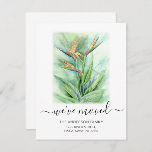 We hebben de vogelgriep van de paradijsnaam verpla aankondiging (Voorkant / Achterkant)