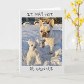 WE HEBBEN DIT VOOR JULLIE GEMAAKT. KAART (Gele Bloem)