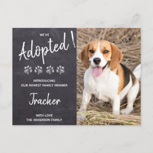 We hebben Dog Rescue New Pet Pawty uitnodiging aan