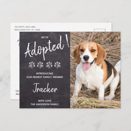 We hebben Dog Rescue New Pet Pawty uitnodiging aan (Voorkant / Achterkant)