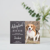 We hebben Dog Rescue New Pet Pawty uitnodiging aan (Staand voorkant)