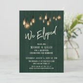 We hebben donkergroene, roodbruine blikgloeilampen kaart (Staand voorkant)