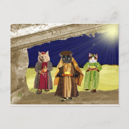 We hebben drie katten briefkaart (Voorkant)