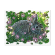 We hebben een feest Bunny