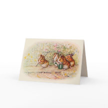 We hebben een kleine Garden Guinee Varkenshaar-gro