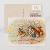 We hebben een kleine Garden Guinee Varkenshong Briefkaart (Voorkant / Achterkant)