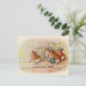 We hebben een kleine Garden Guinee Varkenshong Briefkaart (Staand voorkant)