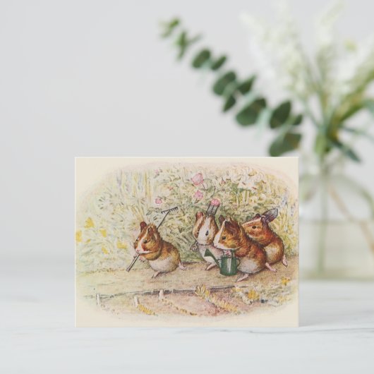 We hebben een kleine Garden Guinee Varkenshong Briefkaart (Staand voorkant)