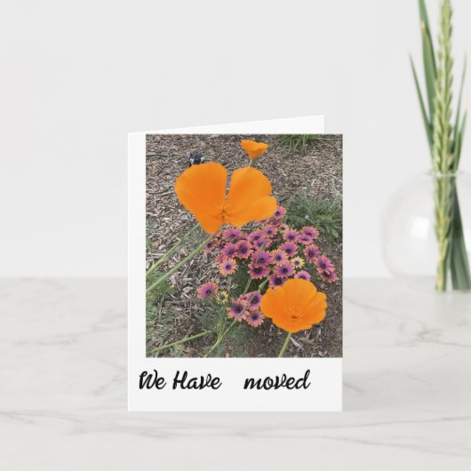 We hebben een nieuwe adresmeldingskaart verplaatst bedankkaart (Voorkant)