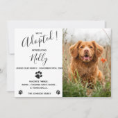 We hebben een nieuwe mededeling van Pet aangenomen Kaart (Voorkant)