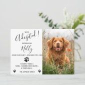 We hebben een nieuwe mededeling van Pet aangenomen Kaart (Staand voorkant)