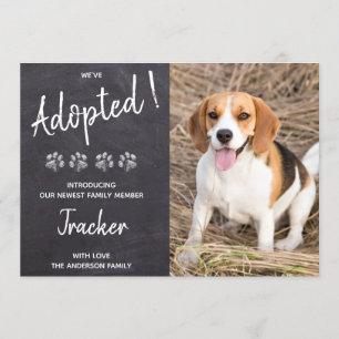 We hebben een nieuwe Pet Dog Puppy Pawty aangenome Kaart