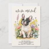 We hebben Franse buldog puppy bloemetjeshond verpl Aankondiging (Voorkant)