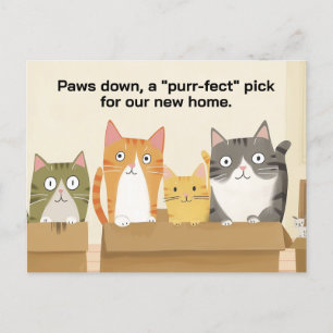We hebben Funny Cats New Home Aankondiging verplaa Briefkaart