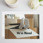 We hebben Funny Moving Boxes met Feet verplaatst Aankondiging<br><div class="desc">De verandering van adreskaartje shows een foto van twee voet met witte sokken die uit een kartonnen bewegende doos kleven. In de tekst staat: "We hebben ons verplaatst." De omgekeerde shows een foto van een muur van gestapelde golfdozen en de bewegingsdetails, zoals adres en telefoonaantal. Pas alle tekst aan voor...</div>