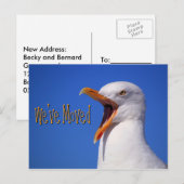We hebben Funny Seagull Joke Briefkaart verplaatst (Voorkant / Achterkant)