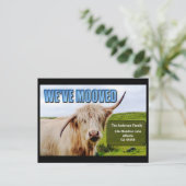 We hebben gemoffeld | Wonky Koe Moving Announcment Briefkaart (Staand voorkant)