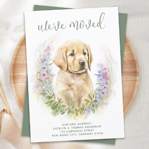 We hebben Golden Retriever Puppy Dog Moving verpla Aankondiging