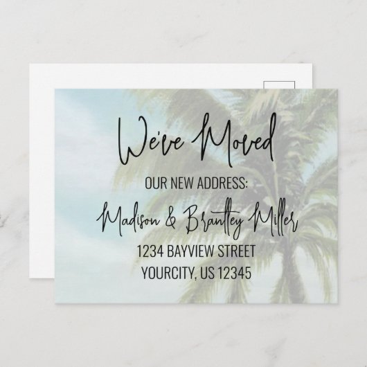 We hebben handgeschreven kalligrafie-palmbomen ver briefkaart (Voorkant / Achterkant)